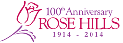 logo100a